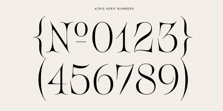 Acris Font Family free download preview 2 – Serif Fonts font
