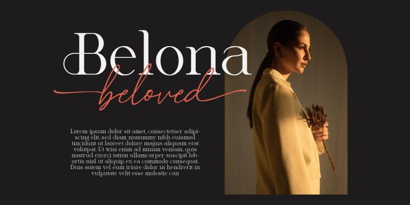 Alcantera Font Duo free download preview 1 – Serif Fonts font