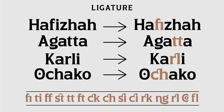 Aliey Font free download preview 3 – Font Family font