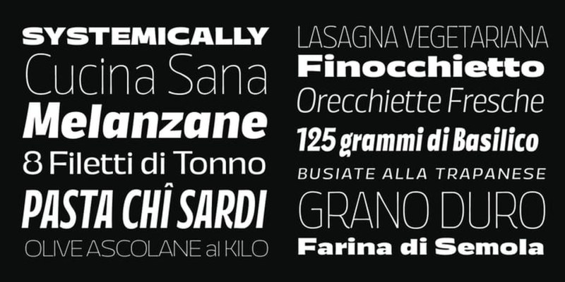 Annuario Font Family free download preview 2 – Sans Serif Fonts font