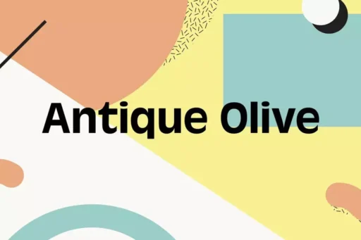 Antique Olive Font free download preview 11 – Sans Serif Fonts font
