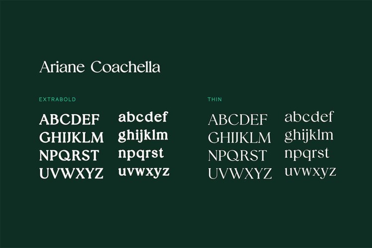 Ariane Coachella Elegant Serif Font free download preview 5 – Serif Fonts font