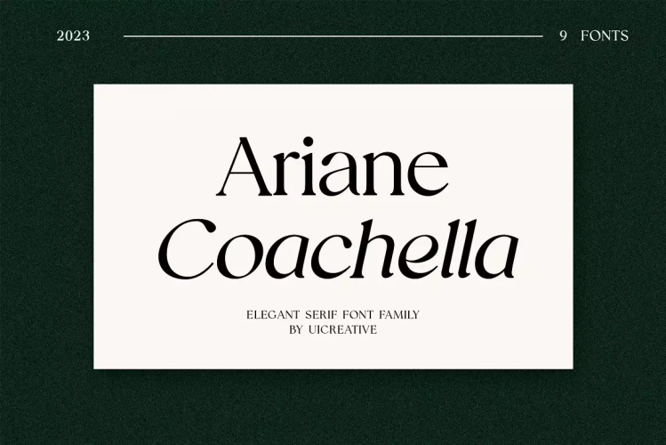 Ariane Coachella Elegant Serif Font free download preview 6 – Serif Fonts font