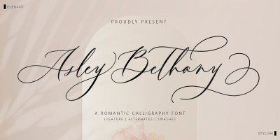Asley Bethany Font free download – Script And Handwritten font preview