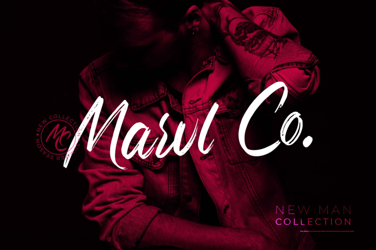 Assylum Font free download preview 1 – Script And Handwritten font