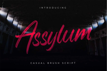 Assylum Font free download – Script font preview