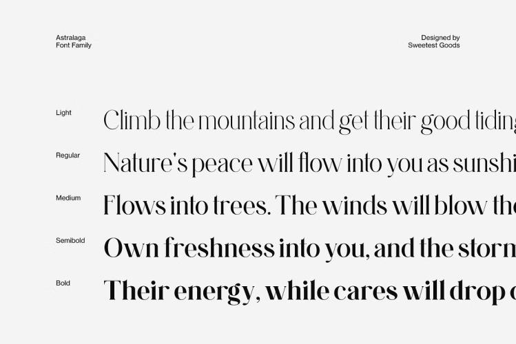 Astralaga Font free download preview 9 – Serif Fonts font
