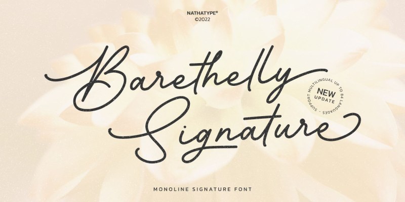 Barethelly Signature Font free download preview 9 – Script And Handwritten font