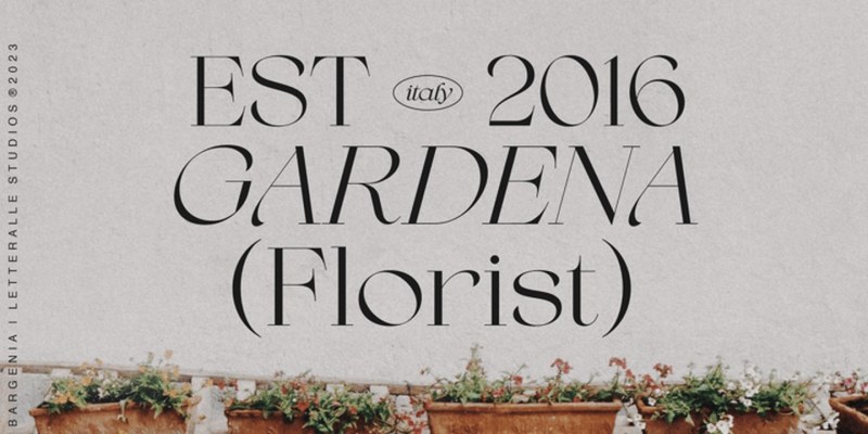 Bargenia Font Family free download preview 10 – Display Fonts font