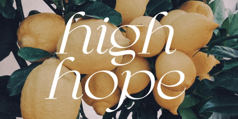 Bargenia Font Family free download preview 5 – Display Fonts font