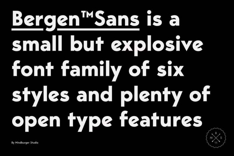 Bergen Sans Font free download preview 3 – Serif Fonts font