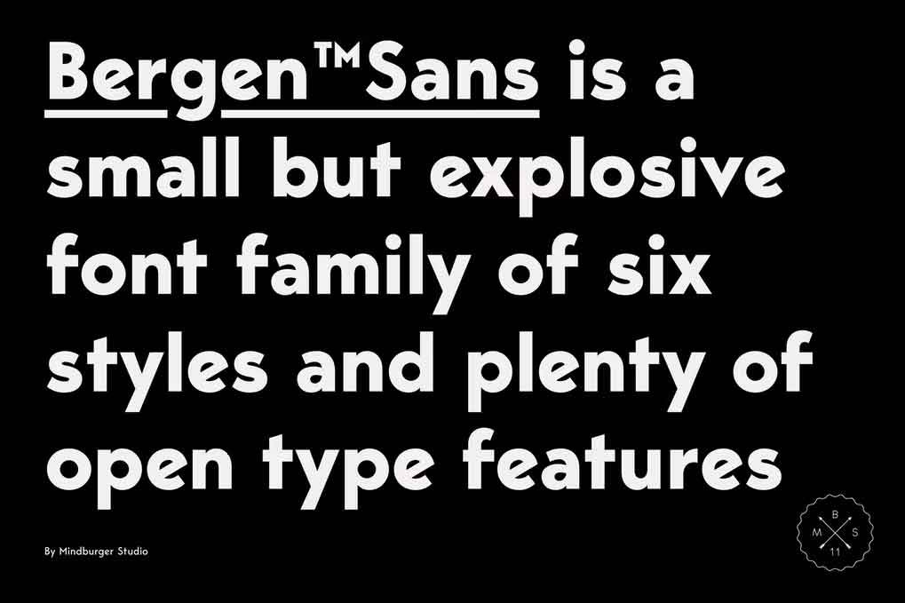 Bergen Sans Font free download – Serif Fonts font preview image for Windows and Mac