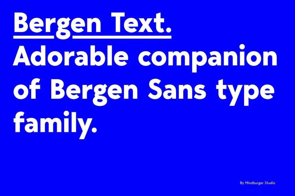 Bergen Text Font free download – Serif Fonts font preview image for Windows and Mac