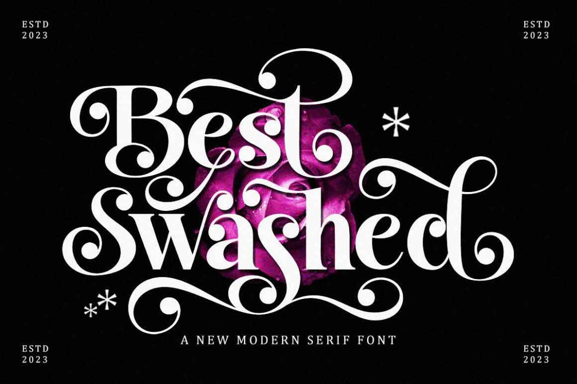 Best Swashed Font free download – Serif Fonts font preview image for Windows and Mac