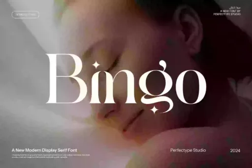 Bingo Font preview 11 – Serif Fonts font sample