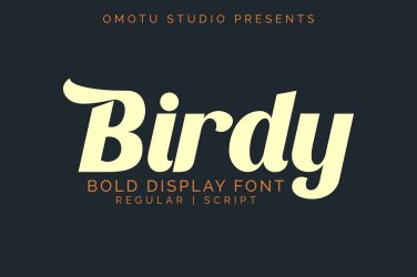 Birdy Font free download – Script And Handwritten font preview