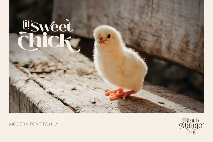 Black Mango Font free download preview 2 – Serif Fonts font