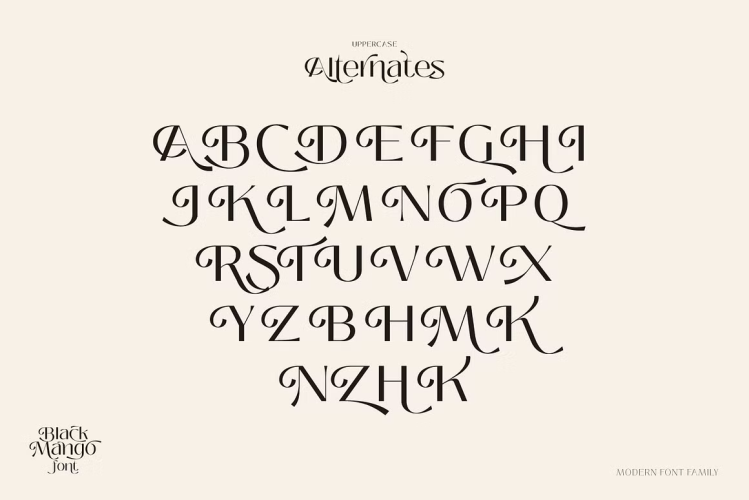 Black Mango Font free download preview 6 – Serif Fonts font