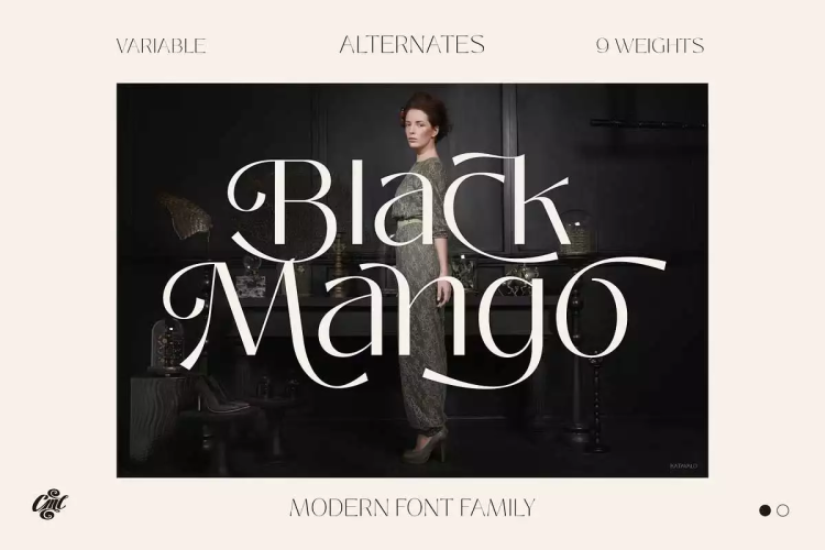 Black Mango Font free download preview 8 – Serif Fonts font