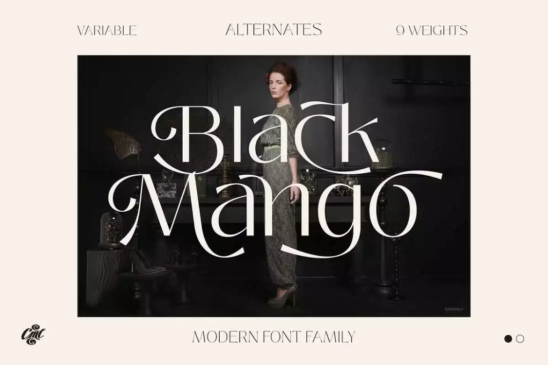 Black Mango Font free download – Serif Fonts font preview image for Windows and Mac