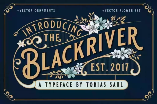 Blackriver Font free download – Display Fonts font preview image for Windows and Mac