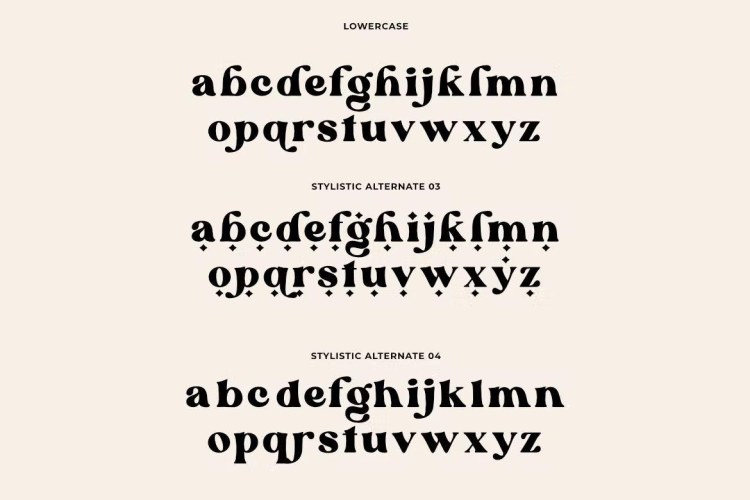 Blanch Sage Font free download preview 6 – Serif Fonts font