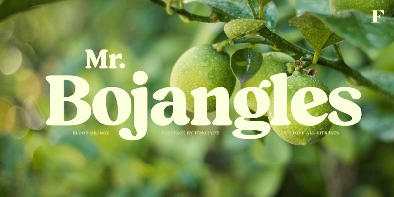 Blood Orange Font free download preview 7 – Serif Fonts font
