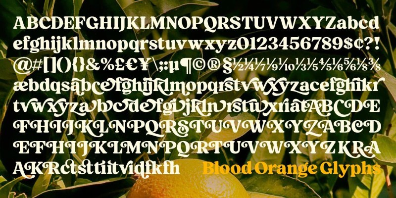 Blood Orange Font free download preview 9 – Serif Fonts font
