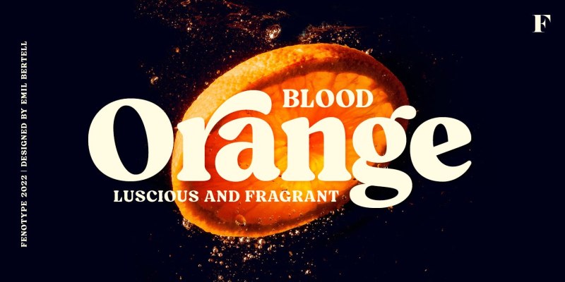 Blood Orange Font free download preview 11 – Serif Fonts font