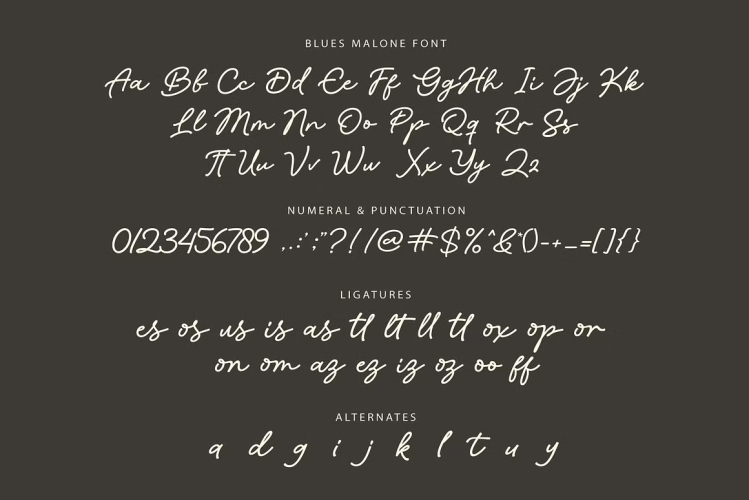 Blues Malone Font free download preview 4 – Script And Handwritten font