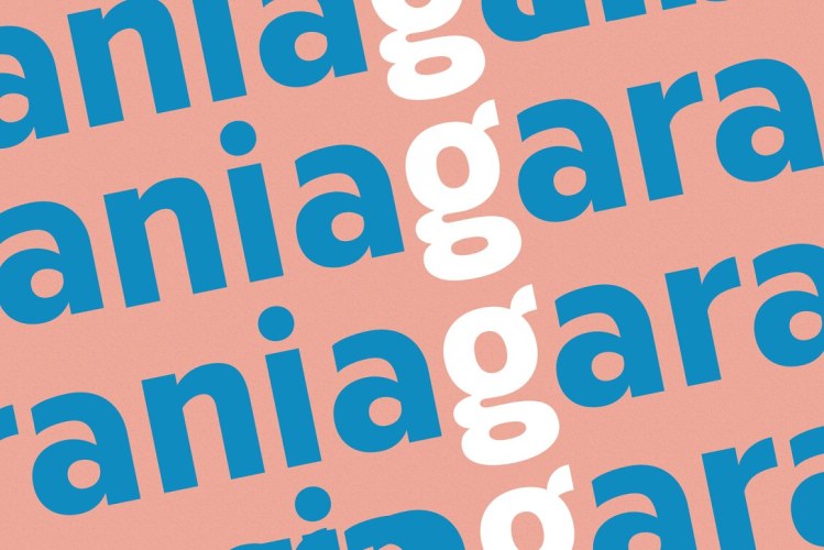 Bolga Display Sans Serif Font free download preview 1 – Display Fonts font