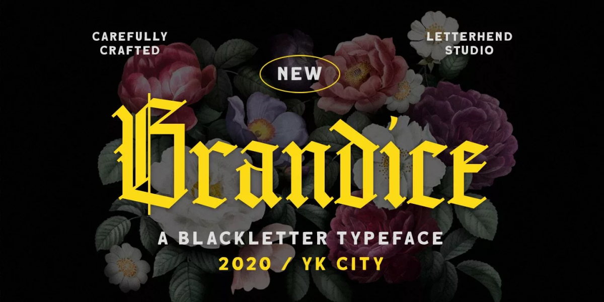 Brandice Font free download – Typeface font preview image for Windows and Mac