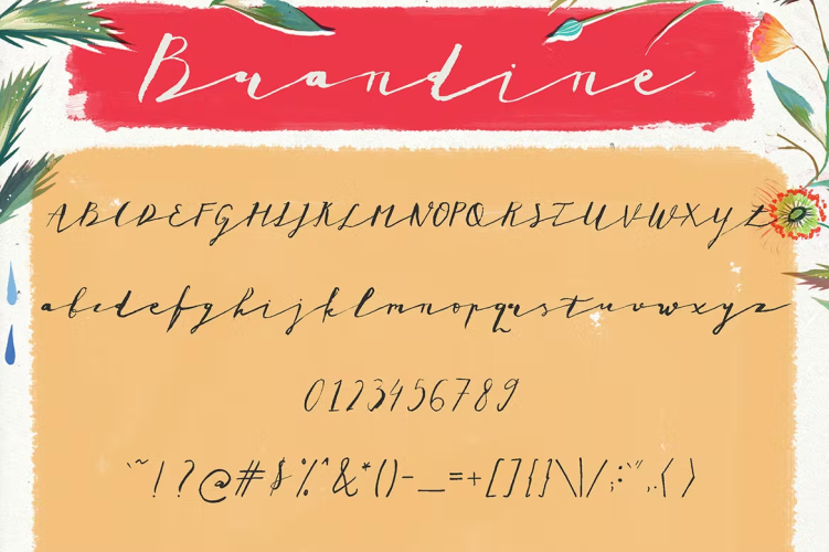 Brandine Font free download preview 2 – Serif Fonts font