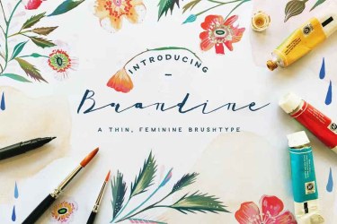 Brandine Font free download – Serif Fonts font preview