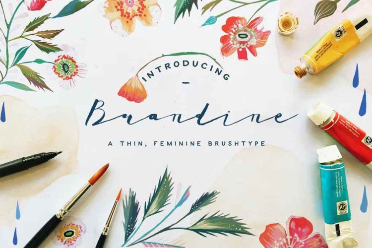 Brandine Font free download preview 3 – Serif Fonts font