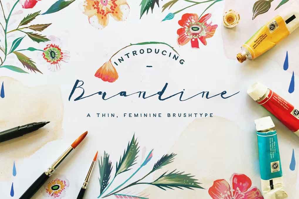Brandine Font free download – Serif Fonts font preview image for Windows and Mac