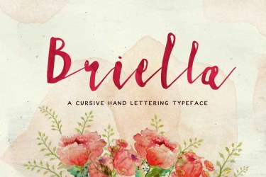 Briella Font free download – Serif Fonts font preview