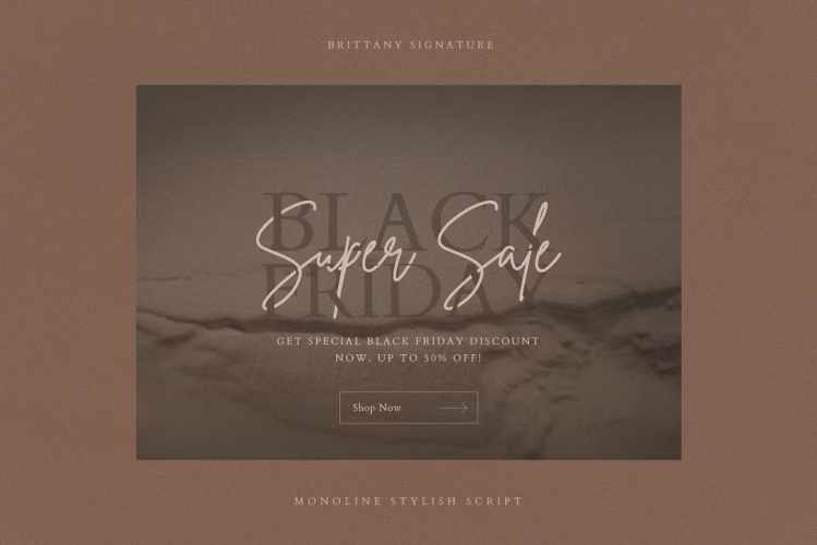 Brittany Signature Font free download preview 1 – Script And Handwritten font