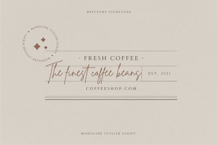 Brittany Signature Font free download preview 2 – Script And Handwritten font