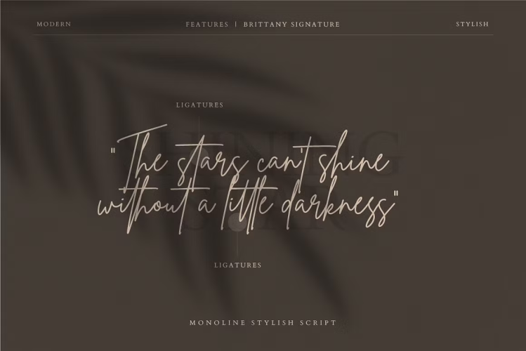 Brittany Signature Font free download preview 3 – Script And Handwritten font