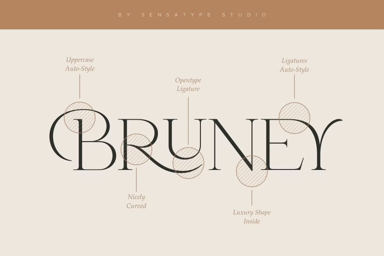 Bruney Font free download preview 3 – Serif Fonts font
