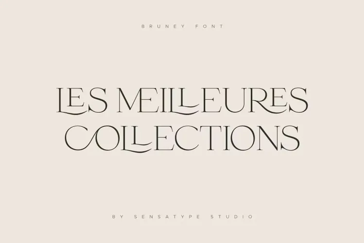 Bruney Font free download preview 7 – Serif Fonts font