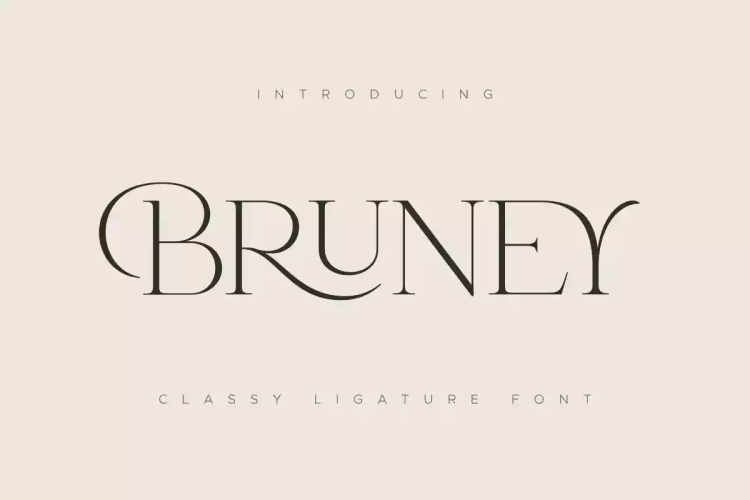Bruney Font free download preview 9 – Serif Fonts font