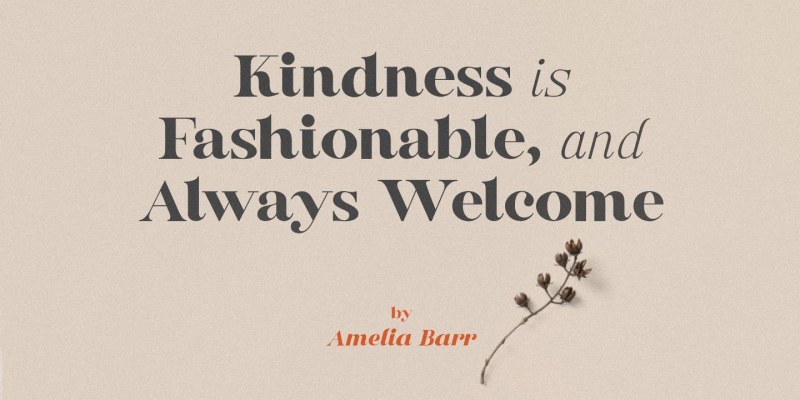 Buche Font Family free download preview 2 – Serif Fonts font