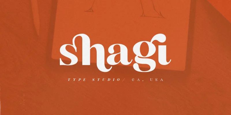 Buche Font Family free download preview 4 – Serif Fonts font