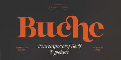 Buche Font Family free download – Serif Fonts font preview