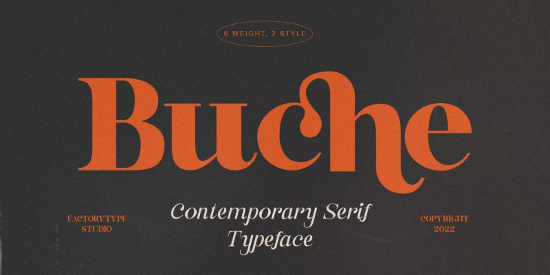 Buche Font Family free download preview 11 – Serif Fonts font