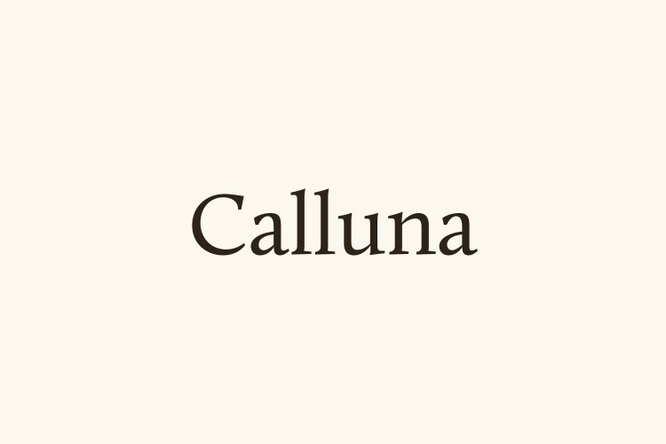 Calluna Font free download preview 1 – Sans Serif Fonts font