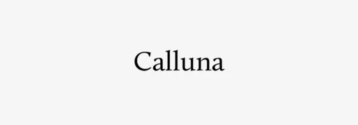 Calluna Font free download preview 5 – Sans Serif Fonts font