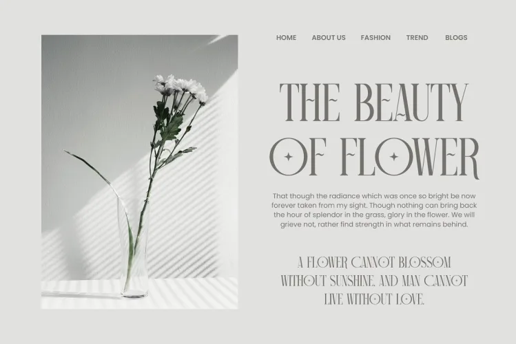 Camiro Elegant Serif Font Typeface preview 2 – Serif Fonts font sample